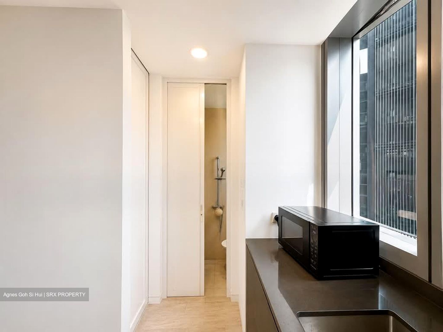 Amber Park (D15), Condominium #606470511